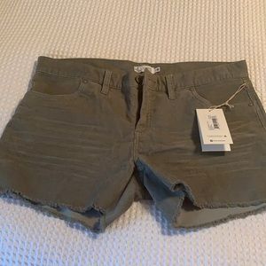 Size 12 Carve designs shorts